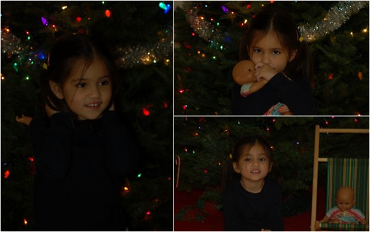 2011-12-08.jpg