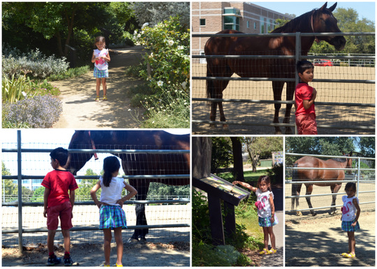 2012-08-12.jpg