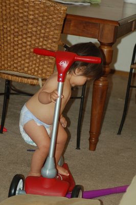 DSC_1678.JPG