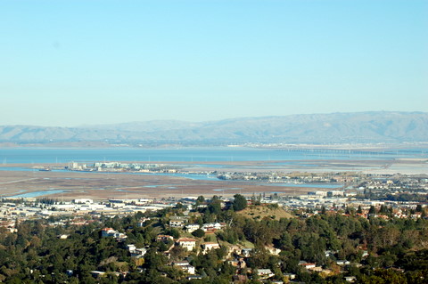 DSC_5559.JPG