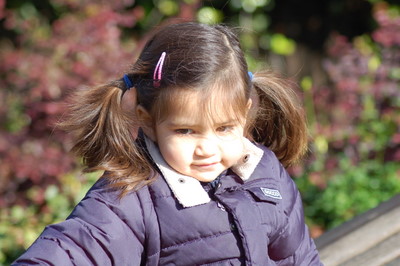 DSC_6597.JPG