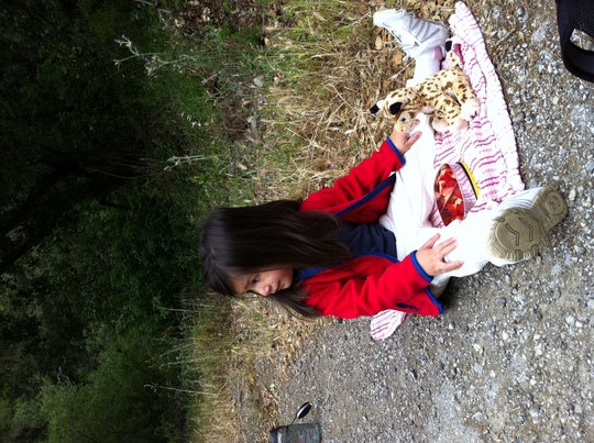 picnic.JPG