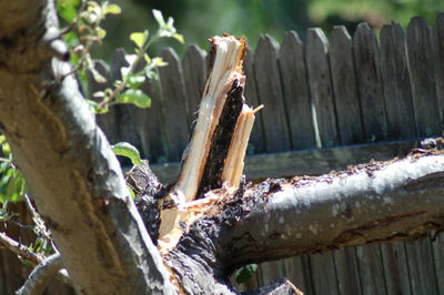 DSC_7803.JPG