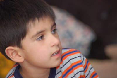 DSC_0487.jpg