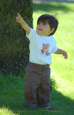 DSC_1858.JPG