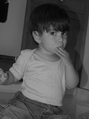 DSC_1914.JPG