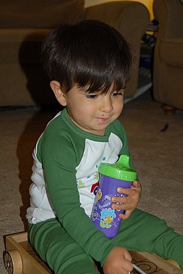 DSC_2738.JPG