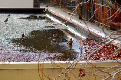 DSC_3893.JPG