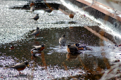 DSC_3898.JPG