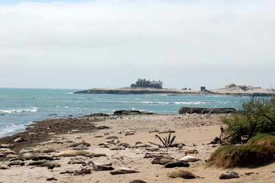 DSC_4373.JPG