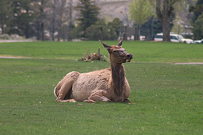 DSC_4998.JPG