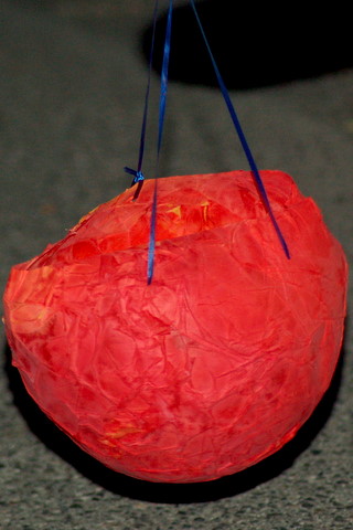 DSC_5519.JPG
