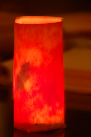 DSC_5546.JPG
