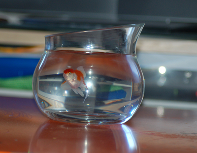 DSC_5962.JPG