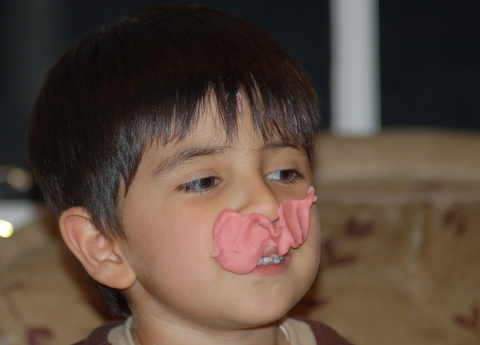 DSC_6461.JPG