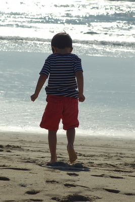 DSC_6465a.JPG