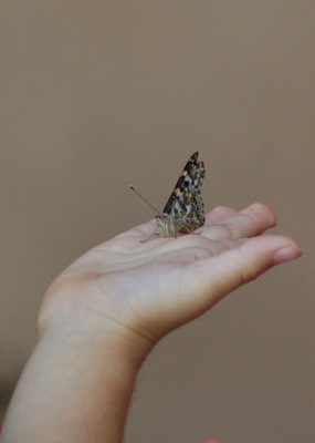 DSC_7752.JPG