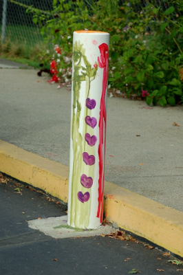 DSC_8172.JPG
