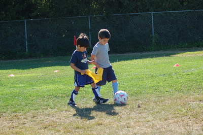 DSC_8192a.JPG