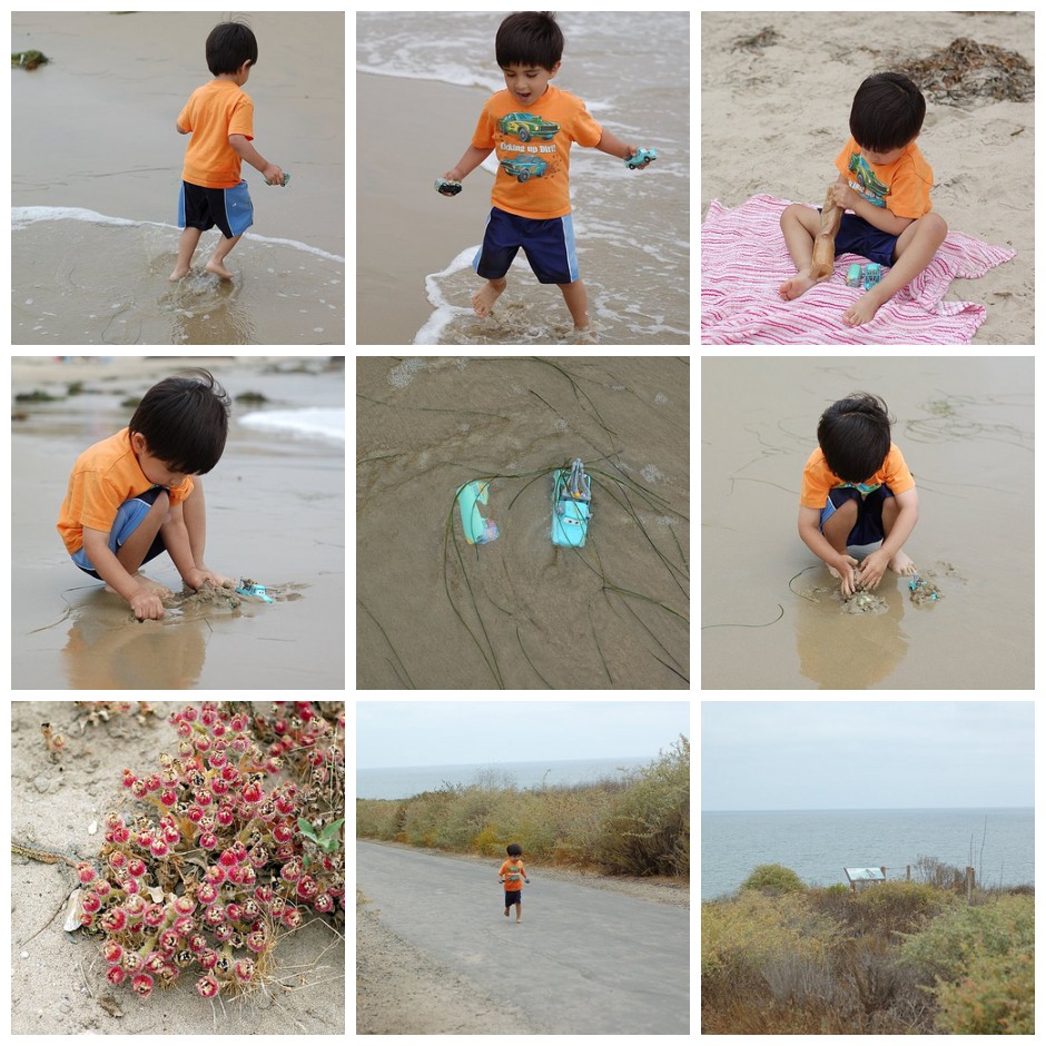 beach.jpg