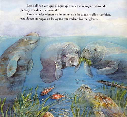 delfin.jpg