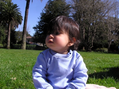 P1010006a.JPG