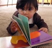 P1010016a-1.JPG