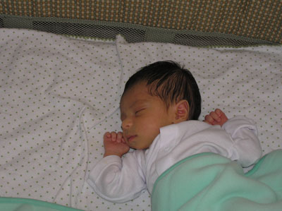 P5050005.jpg