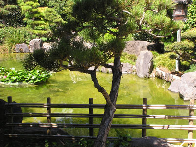 P7300046.jpg